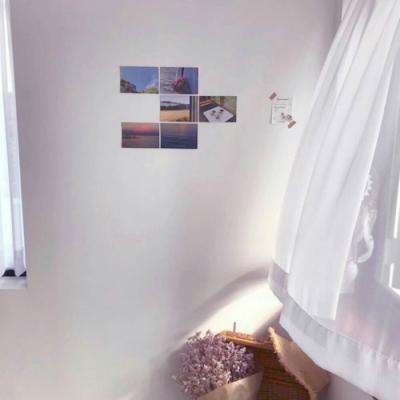 球探下载手机版