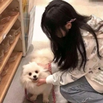 乐鱼app登录入口手机app下载